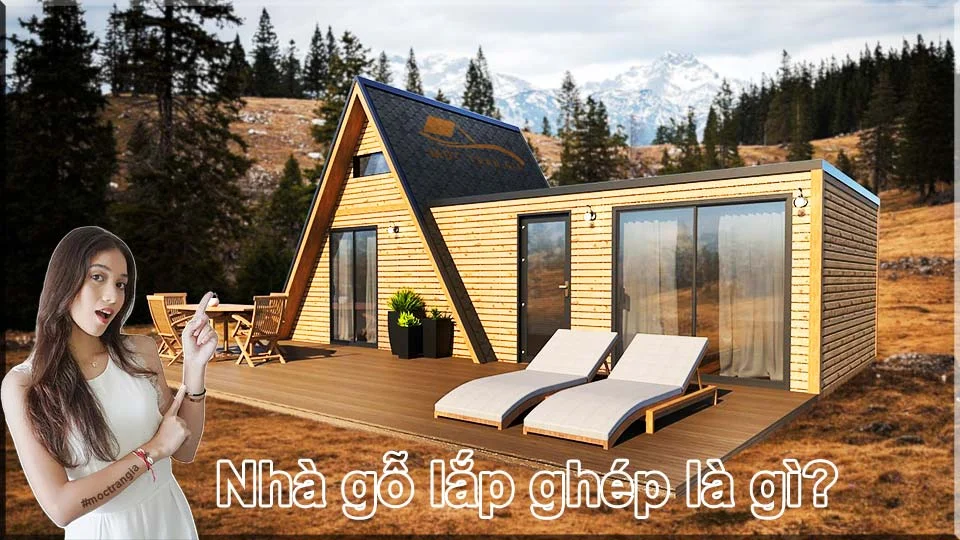 Nhà gỗ lắp ghép là gì? Những ưu điểm khi xây dựng nhà lắp ghép